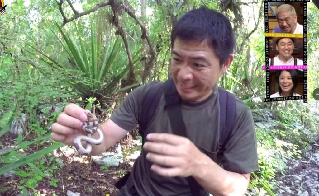 クレイジージャーニーが打ち切り 理由は 爬虫類ハンターでやらせ ハルスタイル